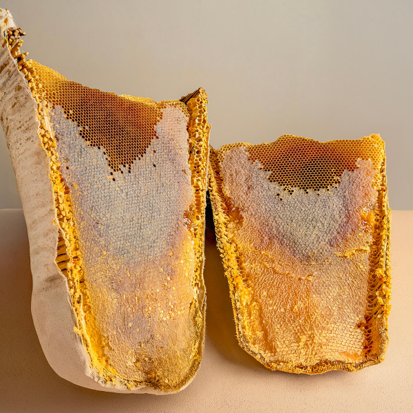 Doğal Sepet Balı-Sivas Su Şehri