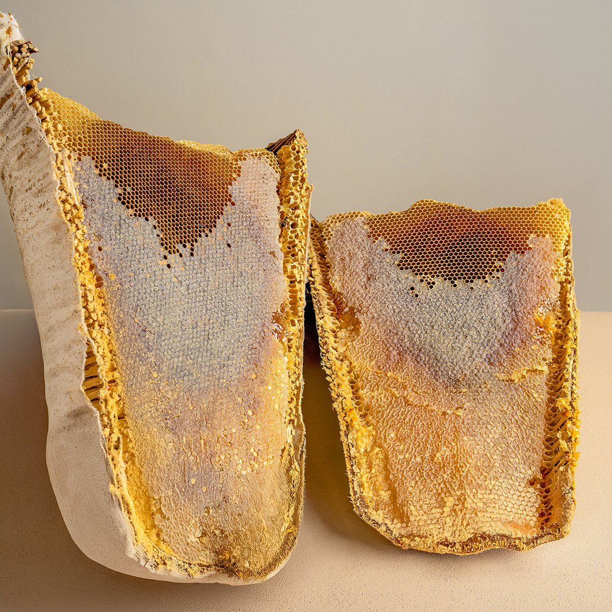 Bal Çeşitlerimize Göz Atın